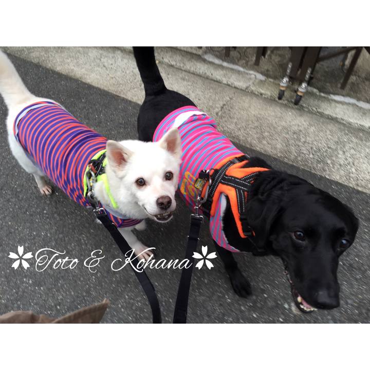 B8ba7a10 157a 4ed2 84c0 b7464948c969