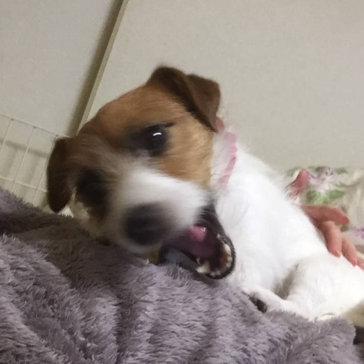 B8ba7b38 8916 48d1 92f5 2f6894ad6ecd