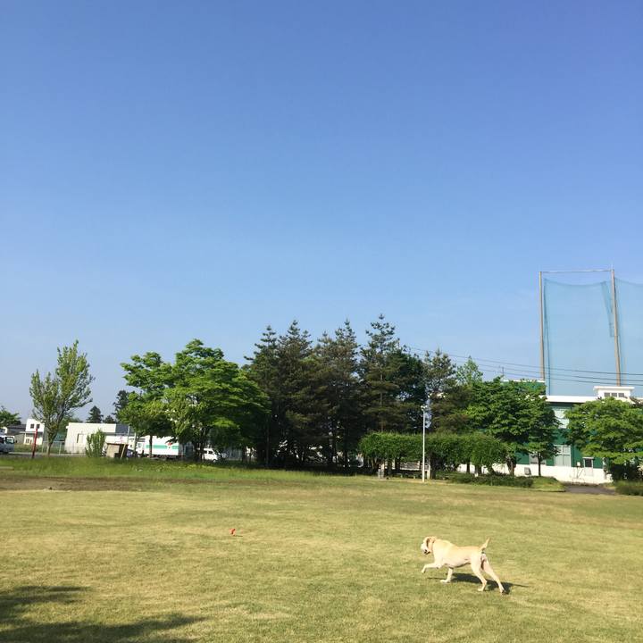 B8babe81 e7a8 43c0 b590 cd0e07d9ac45