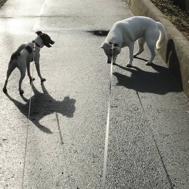 B8bb6b55 33bc 4b61 a111 b9e6fea02153