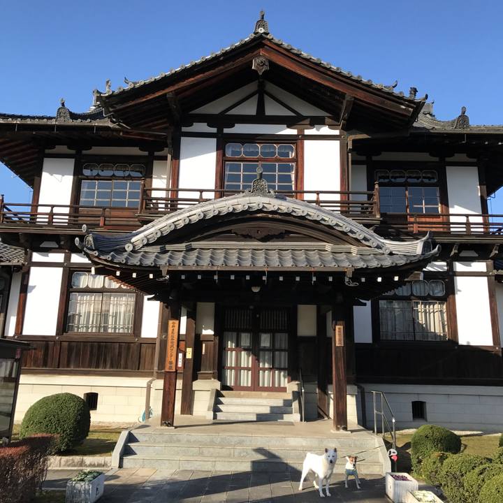 B8bc64da fd92 4694 ad8e 1bc2821d1289