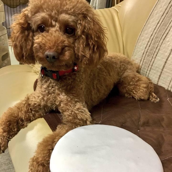 B8bc9f8c 5d56 4f7a 876f 499724f083b3