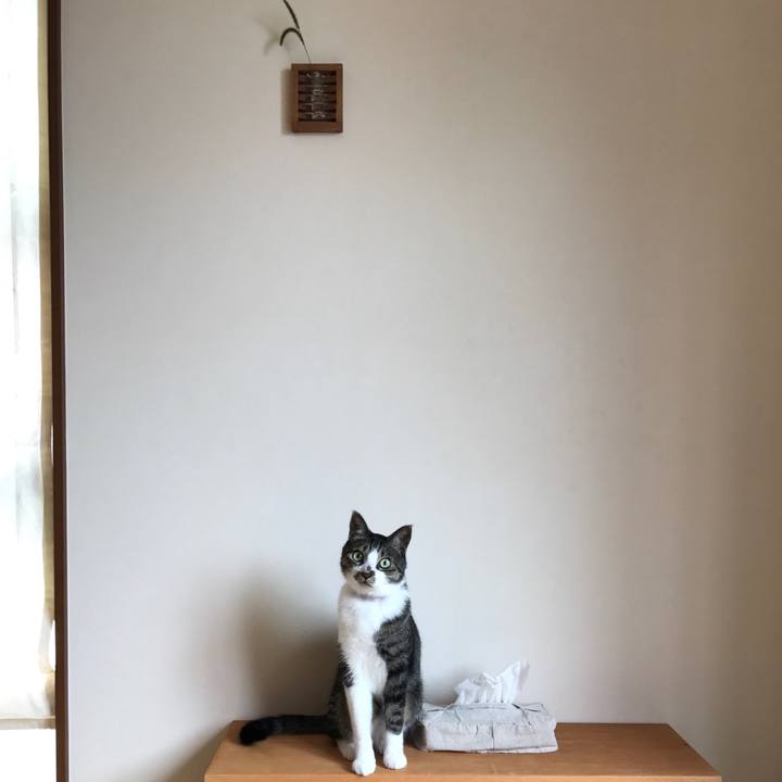 B8bcc204 70b4 49cf 820f c82fadafefbc