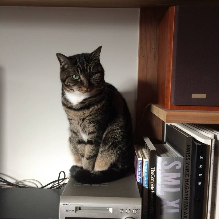 B8bd6b5c 6329 4085 92c2 8e3d9ba77fec