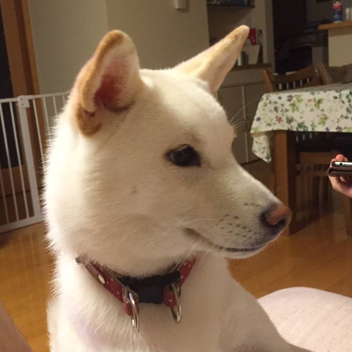 B8bdb3ea 4279 485e a20b 86672082995f