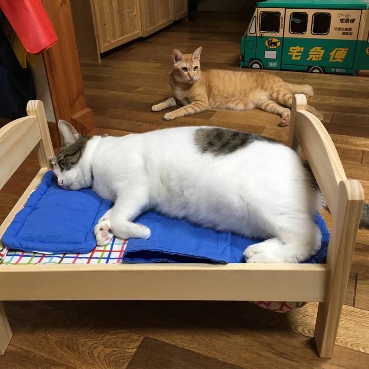 B8be880a c7dc 49b5 b7f1 0b926ea81cde