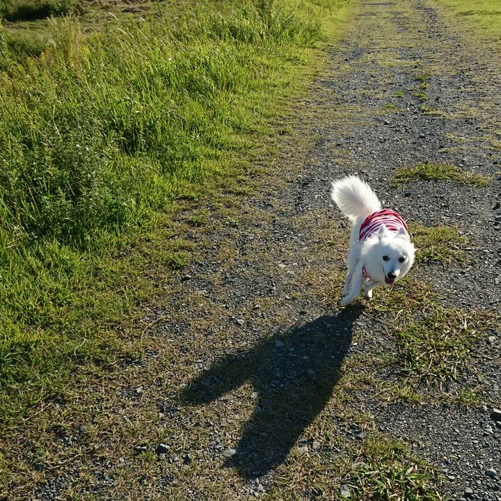 B8be9112 9111 407f a857 96330daae0de