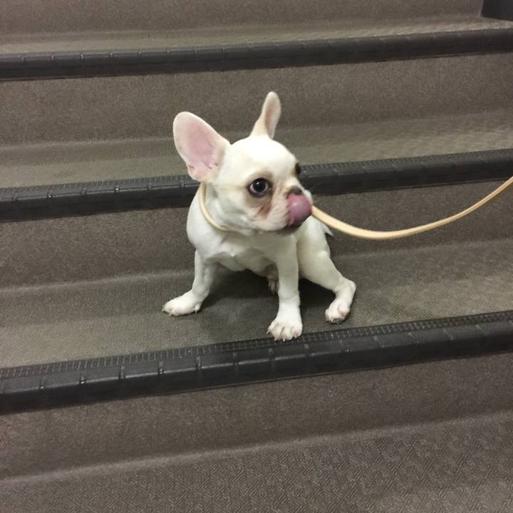 B8bec4be 52b1 4d1e 9277 f488fd003ed9