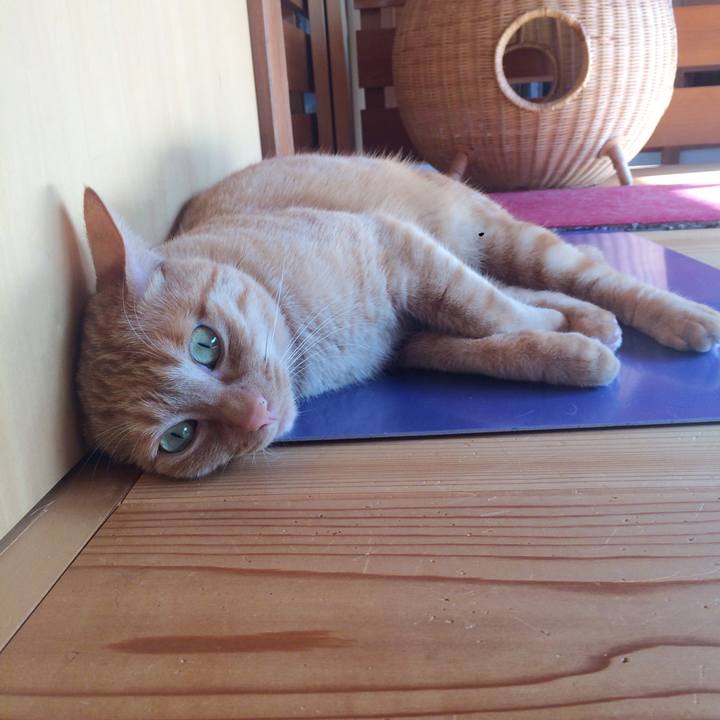 B8befcd4 e345 41cc 99cf 019288e8b5df