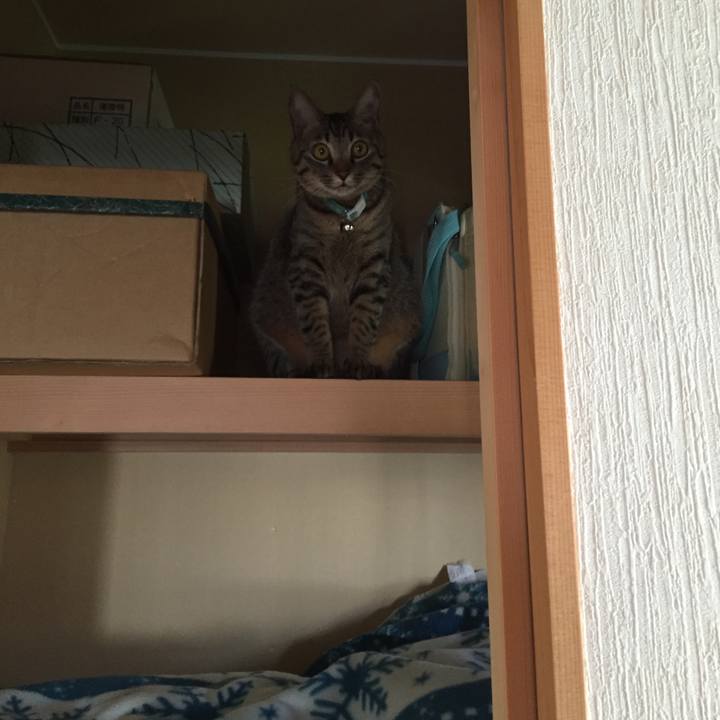 B8bf1b28 3d34 4cbe bc4a 483c619a9e99