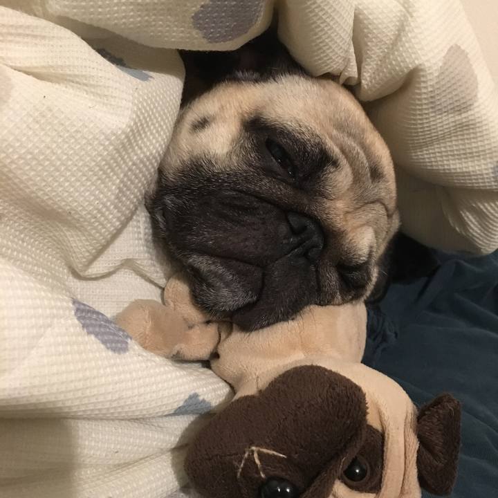 B8bf58ef 47cc 4155 be4f fab8acd40c53