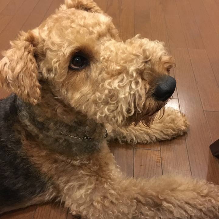 B8bf91b9 6ff9 4e4e 84b9 76d9553d954b