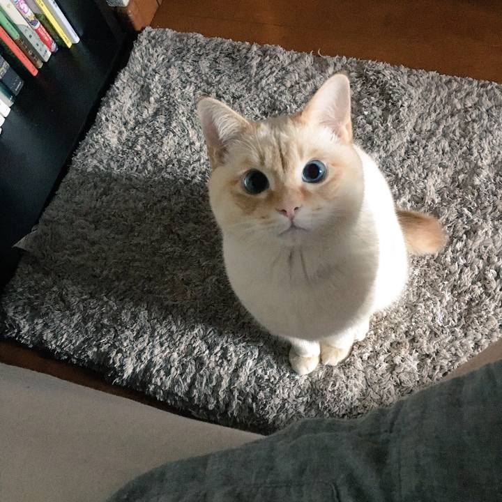 B8bffd21 5e0d 418f a5e0 062a34e6c865