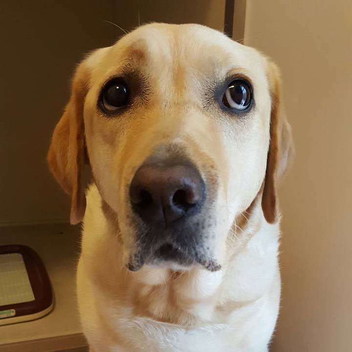 B8c08ca8 1d20 4525 ac3a 0adcd0b721cd