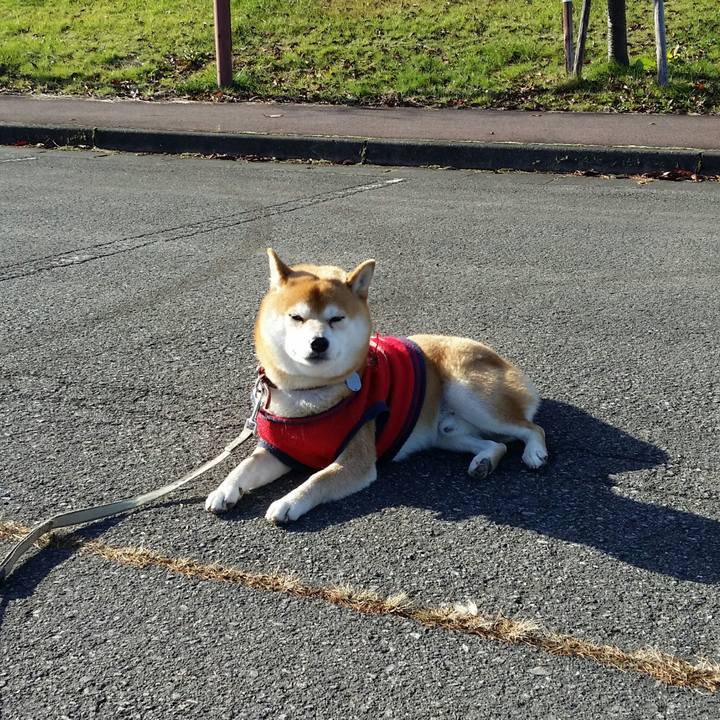 B8c14ef1 5a9c 4843 a3ff 10cb90aab743