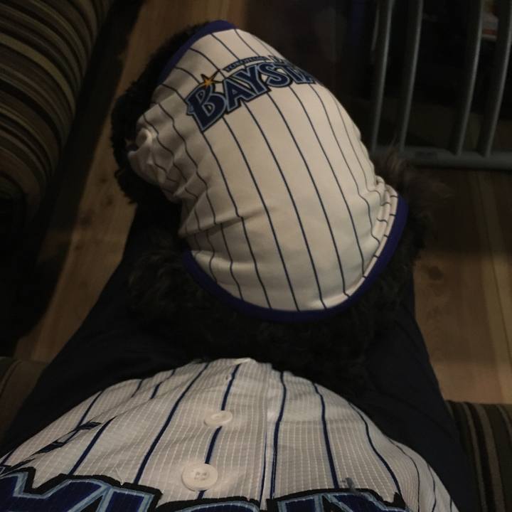 B8c15a75 6dd3 465b 81fa 9d50cac50e15