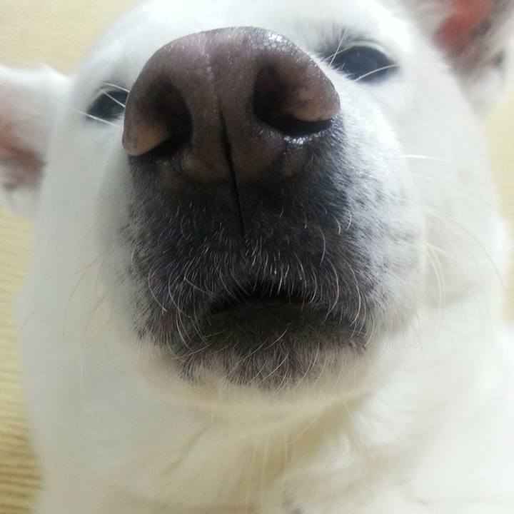 B8c1ba57 5a46 42f4 8f2c 33622f0c4d4b