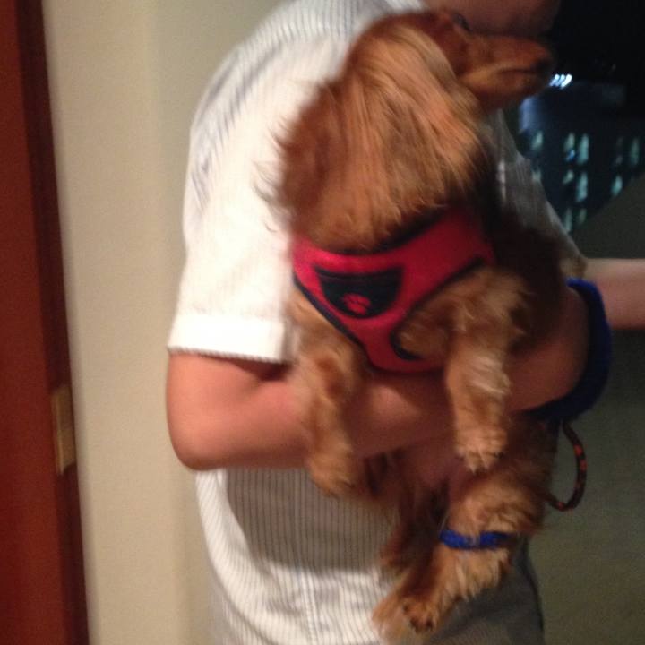 B8c21845 5f12 4581 b609 af98309a92d5