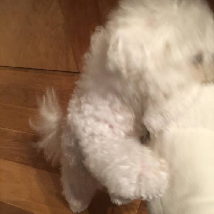 B8c23f0d a950 43d1 98f3 fb61a7e36884