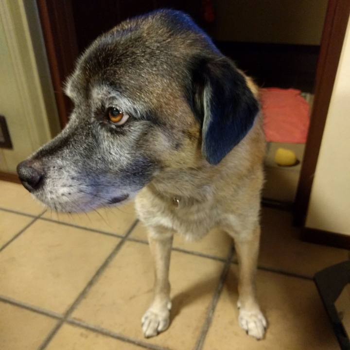 B8c2463e fe26 46db 8e05 0e39acab6c0c