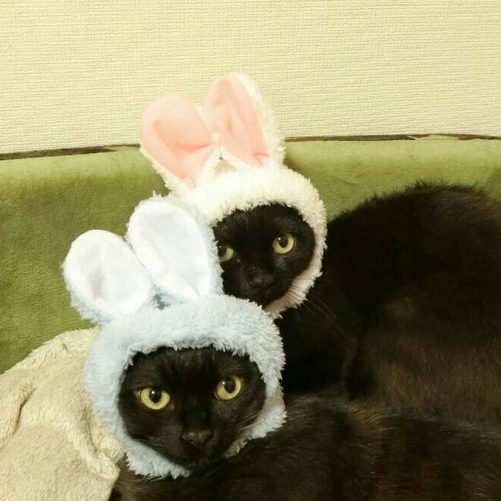 B8c2b9ad 38df 4d07 a2bc 4b0b73bafa4c