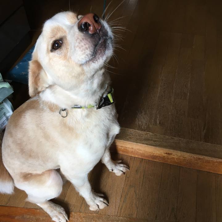 B8c2cabe 7450 46b9 9a22 d763ba64d054