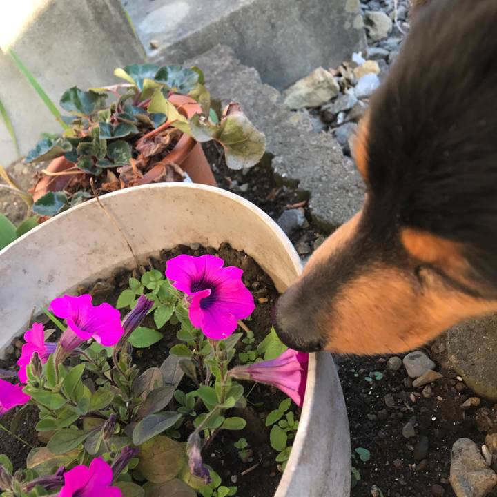 B8c41c6c 7934 4374 ad7b e4e7ffc41166