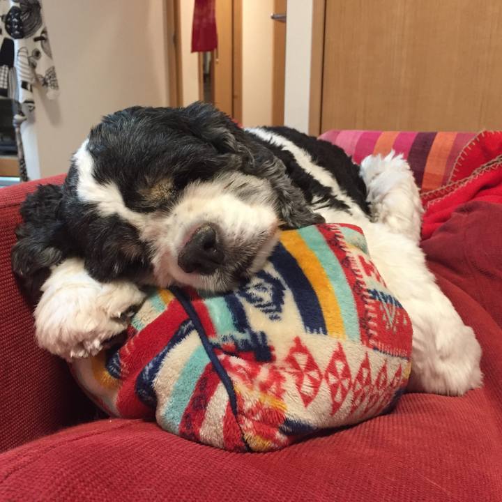 B8c4265f 3f1a 4ccf 8766 c098ef5d9334