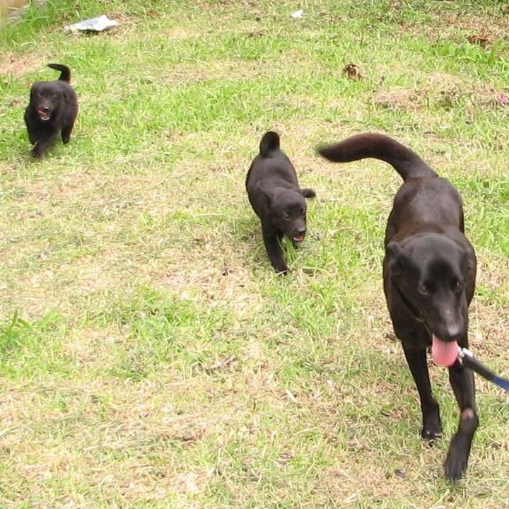 B8c51f84 10db 4396 8904 b172b39afa3c