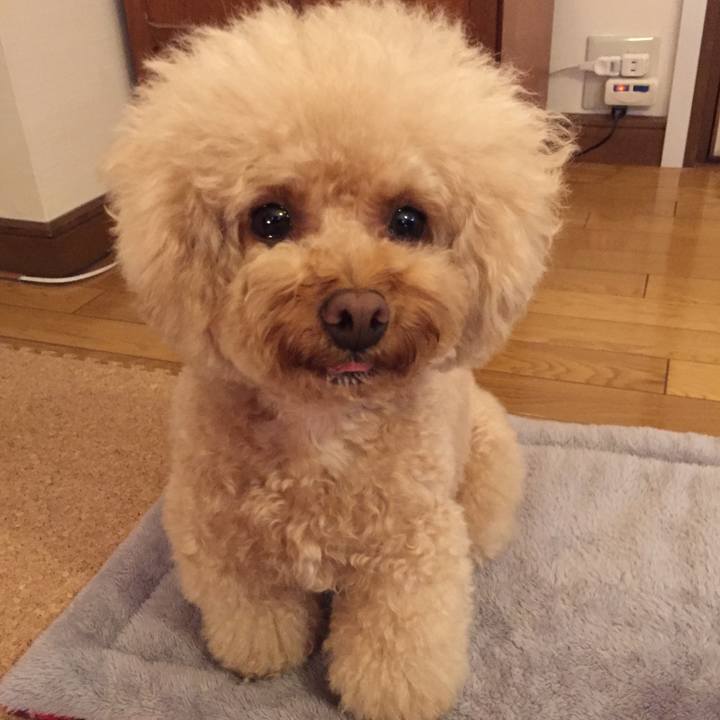 B8c55fb4 c658 4a68 8f98 1ceea1895900