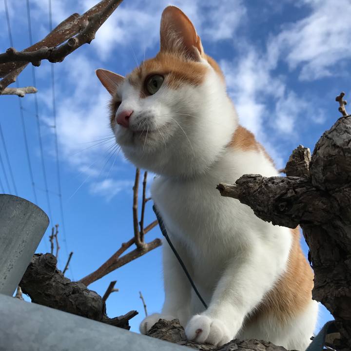 B8c56932 3628 4368 9200 d7838870ddcd