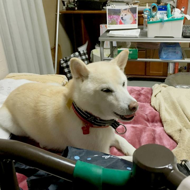 B8c57ed8 deb2 48f4 8356 27ffaeb0952b