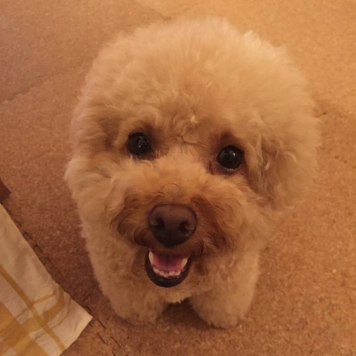 B8c596d9 cc59 46c4 9852 0172470992b8