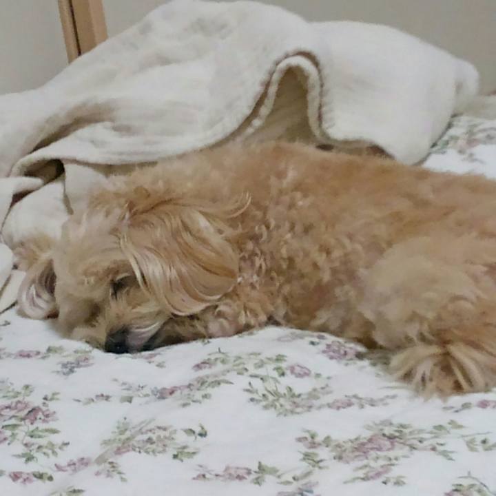 B8c605af d030 4914 8e36 77943aadf82d