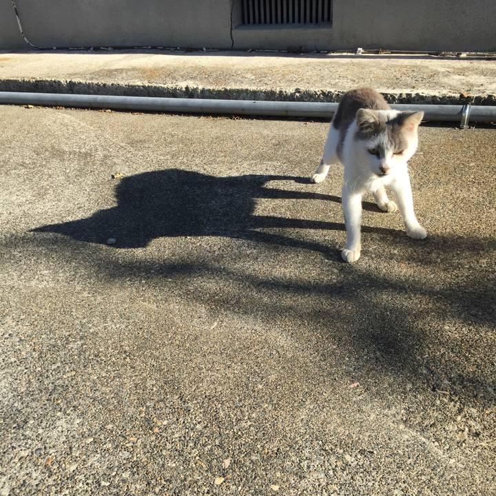 B8c6126a 1e97 437f a231 27b8b2f6630a