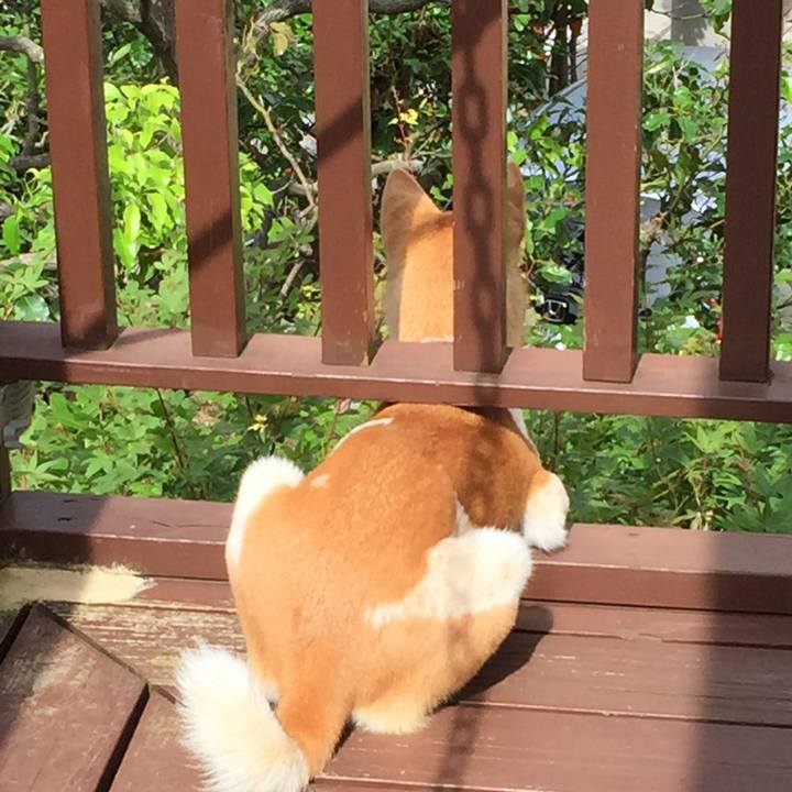 B8c62881 d68f 4454 b6aa 25efb471e2f0