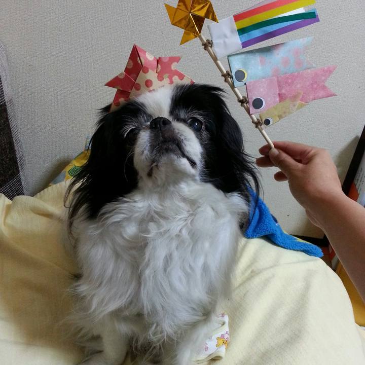 B8c6cd33 eba7 473f a141 ab246b1029c5