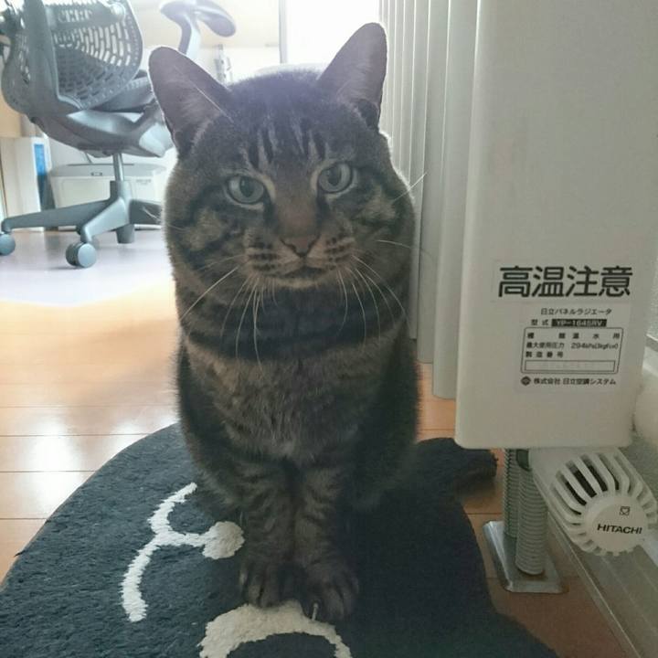 B8c7c358 69a3 467b b8cf 43d0bc6e2a13