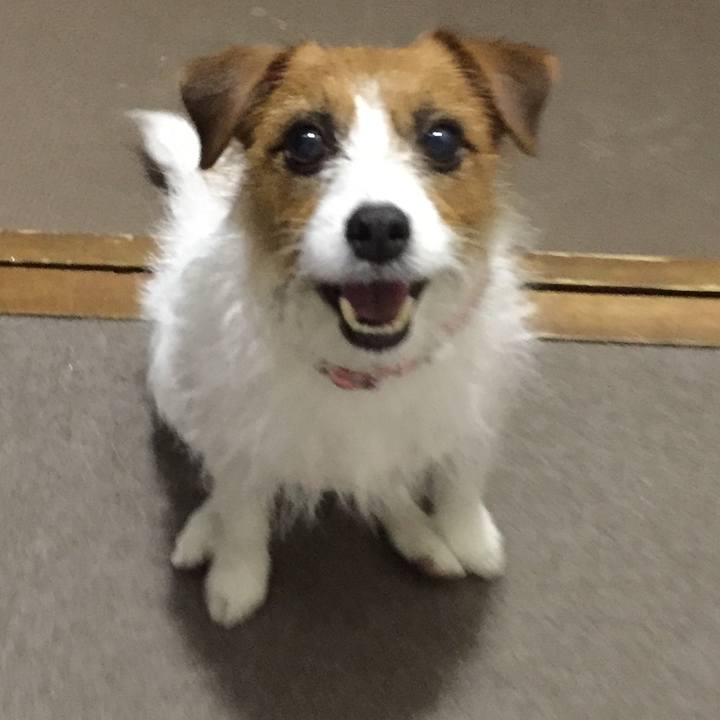 B8c7c77d 6769 40d1 b8b7 c66c6f989799