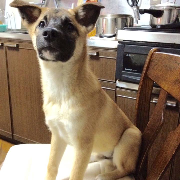 B8c83001 3c0f 444e bd12 2b670a18e611