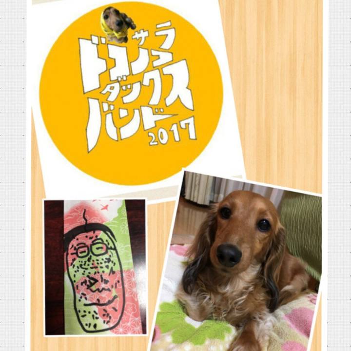 B8c84e80 8dcd 41eb a92b 9fc2392b53da