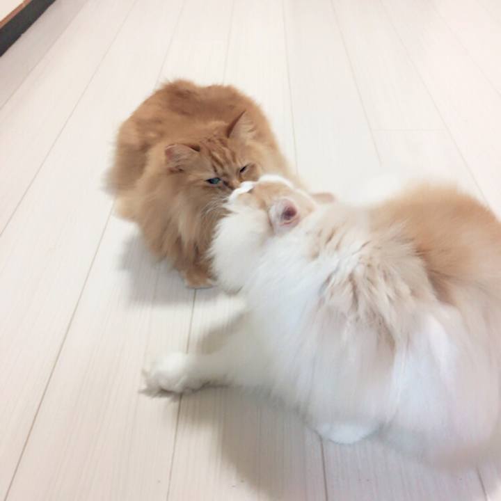 B8c897eb e042 4f10 8628 b526f73d3a27