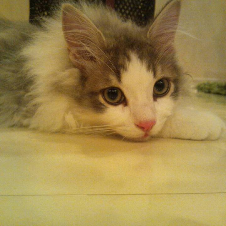 B8c8b69a a2b2 4eb1 a283 982315c11bf0