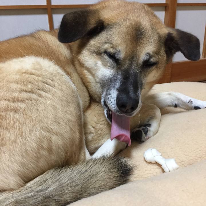 B8c90215 a8e6 4798 94cd 77281400dc95