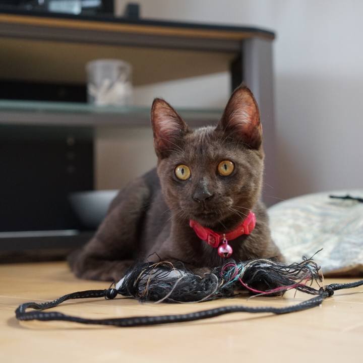 B8c914ed 62a5 4815 a037 5d9d6191def0