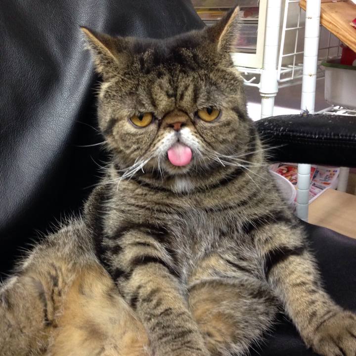 B8c95f8e f616 43db 981d d4d948ae569a