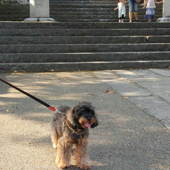 B8c9c5e6 4620 4dff b850 c661c75ed57b