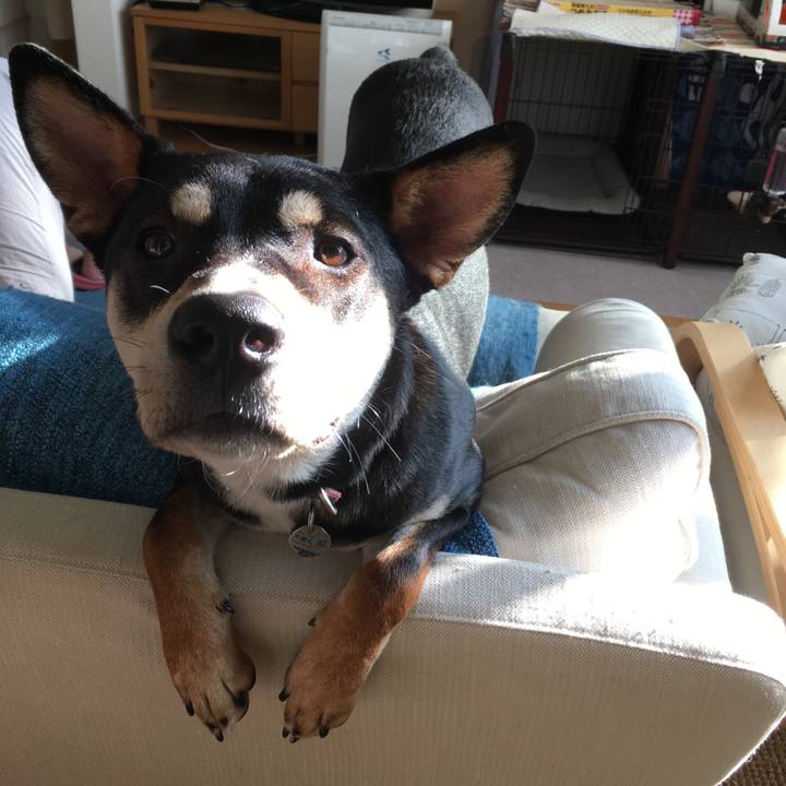 B8ca6a9d f108 4ff1 a0a7 5a3ffd3fbb41