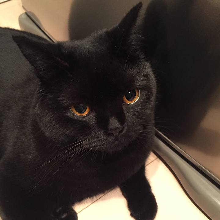 B8cb32a9 6ac0 436f b096 df38af1f4737