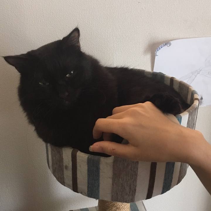 B8cb9f57 f760 4a95 8c2b dcf3824b49c7